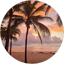 María Paz Vargas Cantillano left a 5 star review